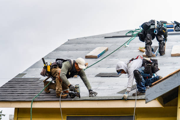 Professional Gutter Installation technician working in Camden, SC